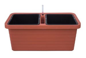 Berberis DUO Önöntöző virágláda