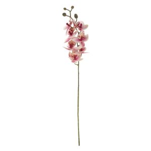 Orchidea művirág világos rózsaszín