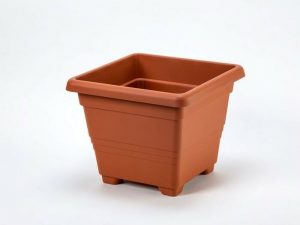 Plastia Virágcserép Begónia 60 x 60