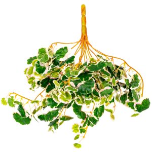 Saxifraga lógó dekoratív műnövény
