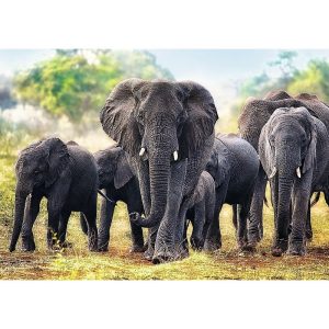 Trefl Afrikai elefántok puzzle