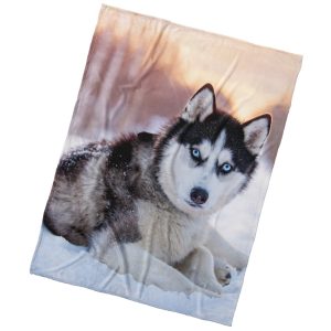 BedTex Mikropoliész takaró Szibériai husky