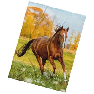 BedTex Mikropoliészta takaró