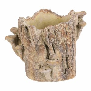 Beton burkolat - tusk with mushrooms