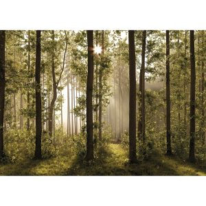 XXL erdei fotó tapéta 360 x 254 cm